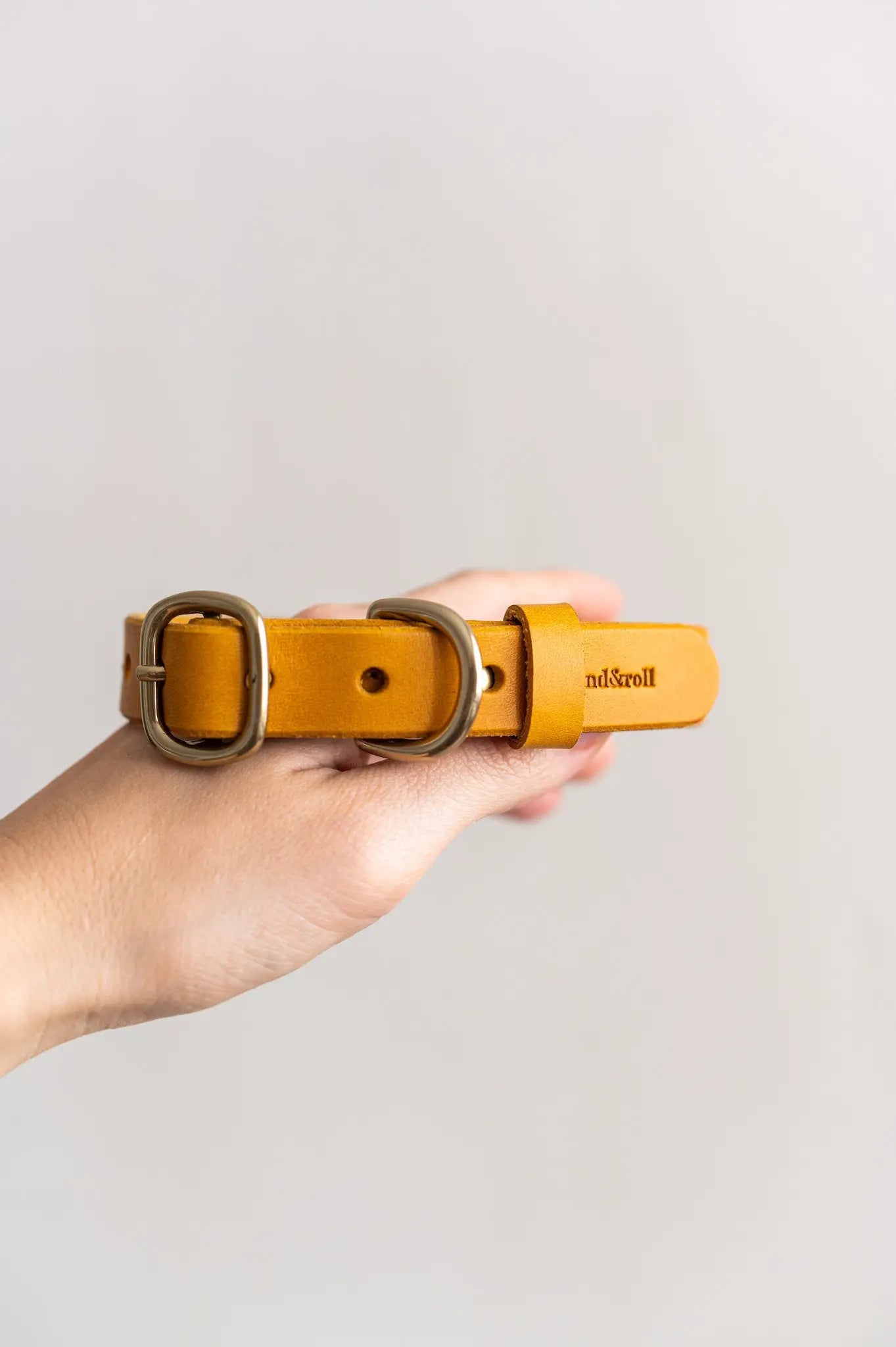 Leather Dog Collar
