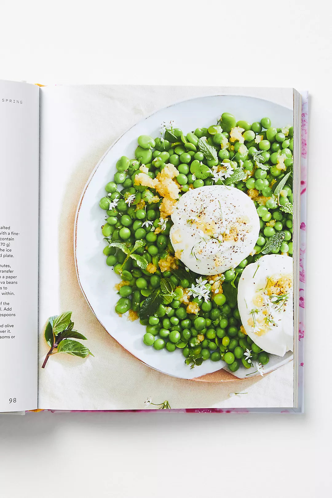 Salad Freak | Cookbook