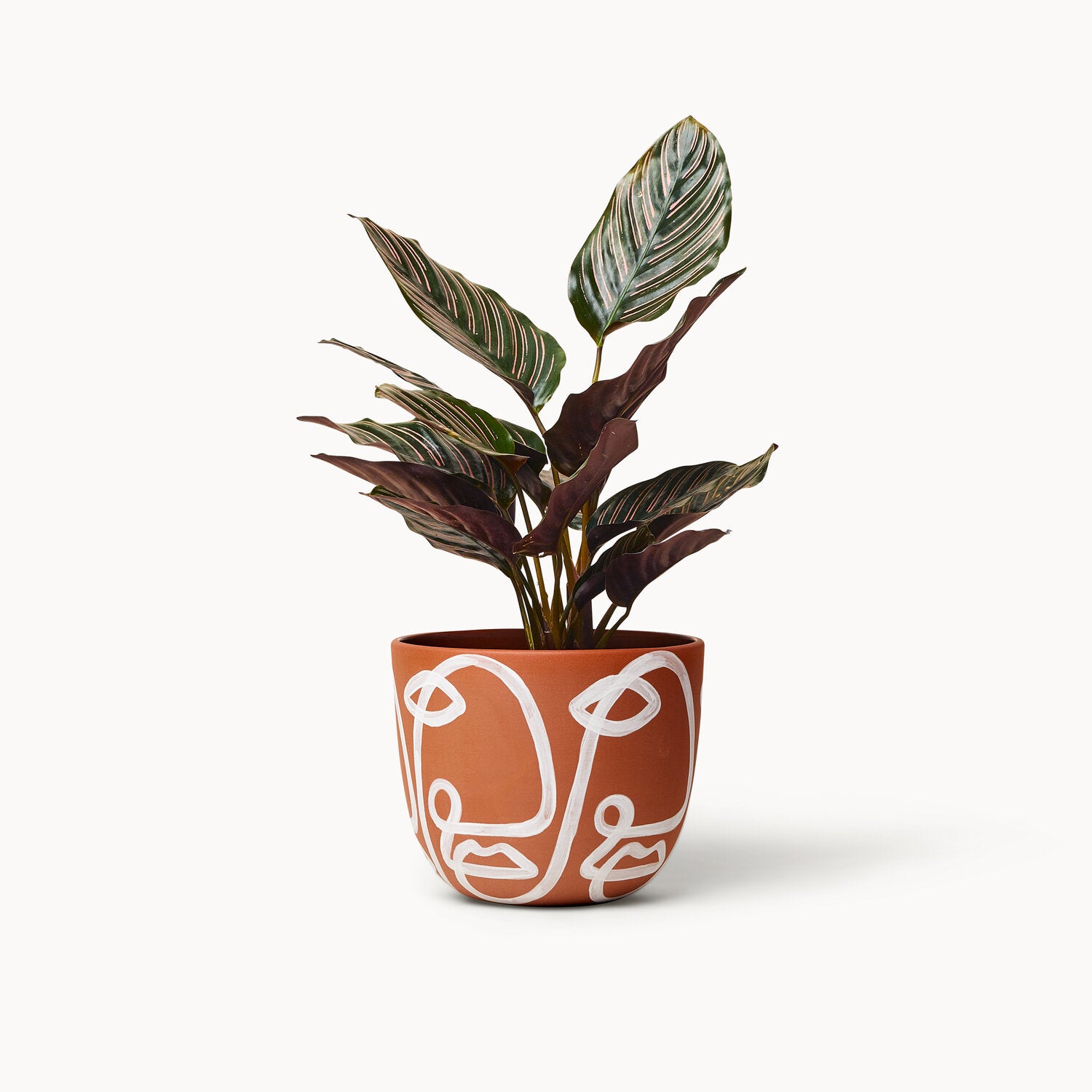 Cara Planters | Terracotta