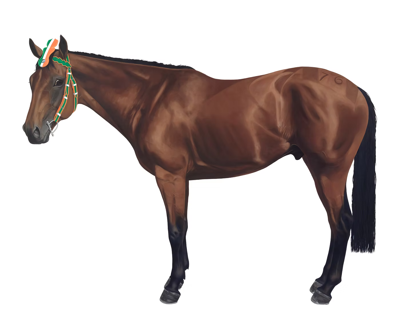 12 Horses Card Pack | by Lara Nickel