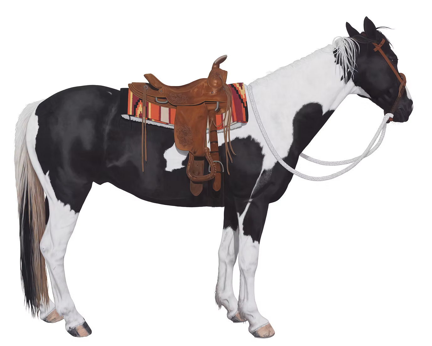 12 Horses Card Pack | by Lara Nickel