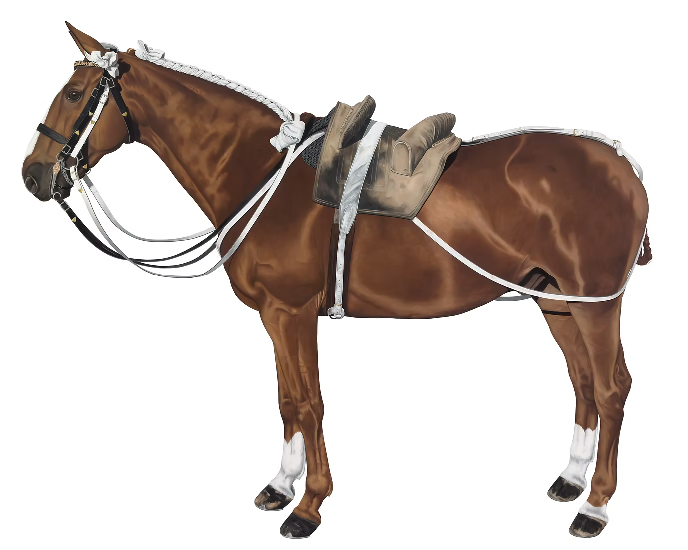 12 Horses Card Pack | by Lara Nickel