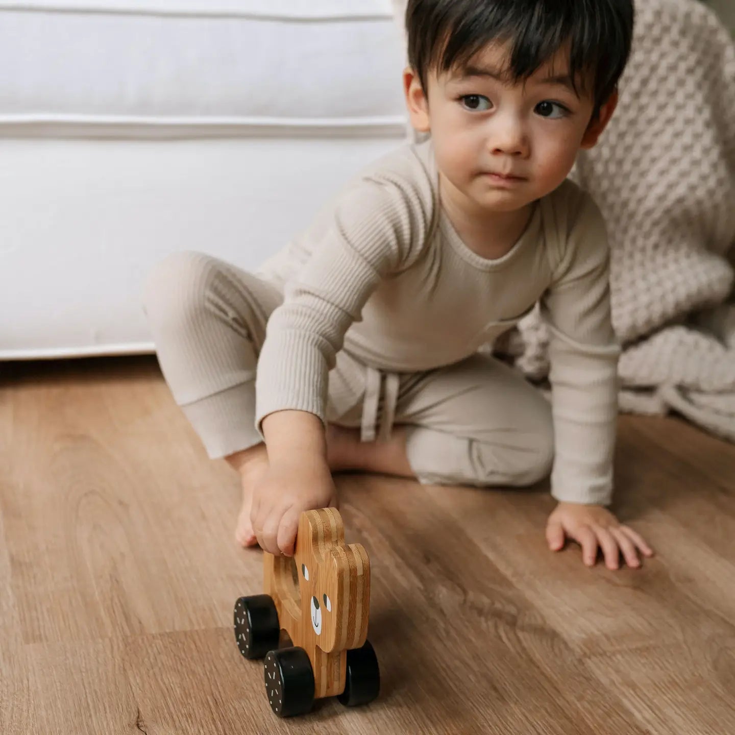 Bear Push Toy