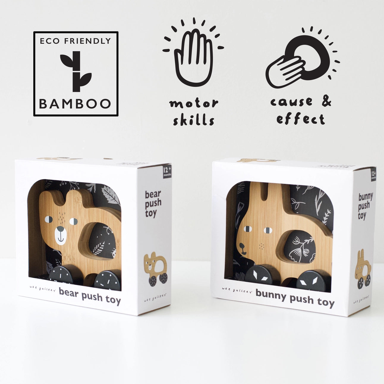 Bear Push Toy