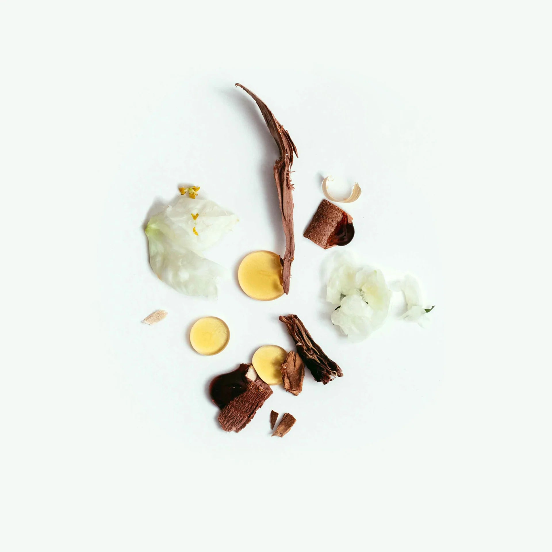 Cedar Flora | Deodorant Stick