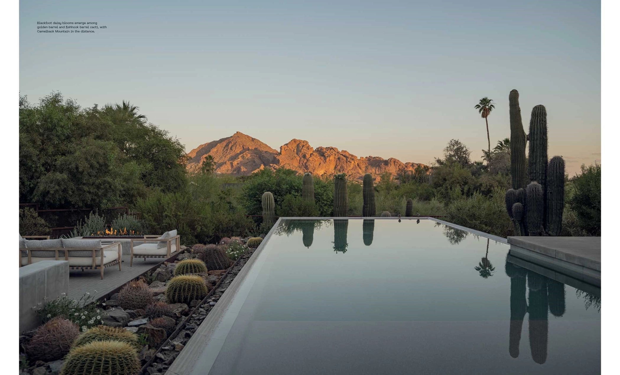 Desert Dreaming: Design in the Southwest and Beyond