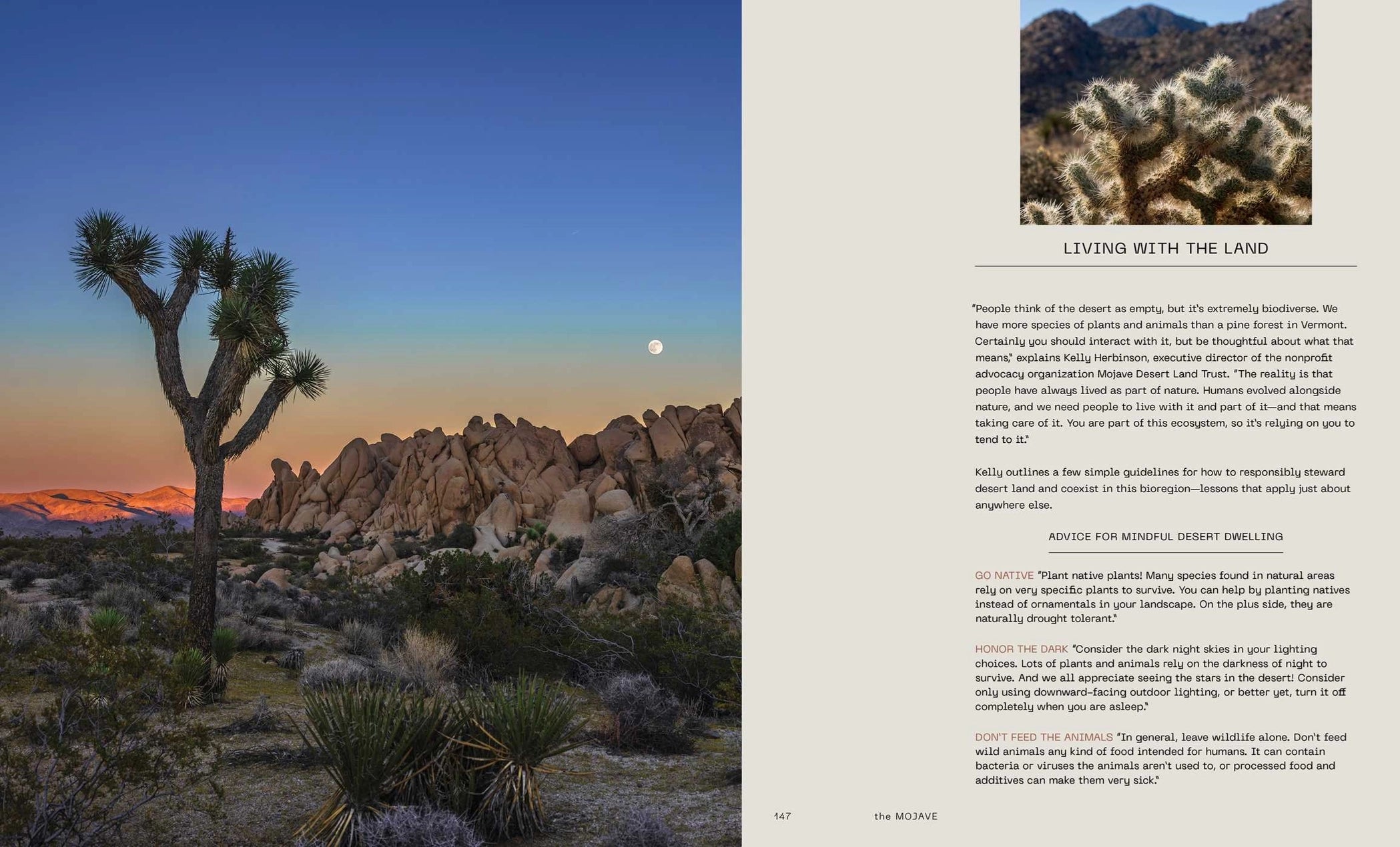 Desert Dreaming: Design in the Southwest and Beyond