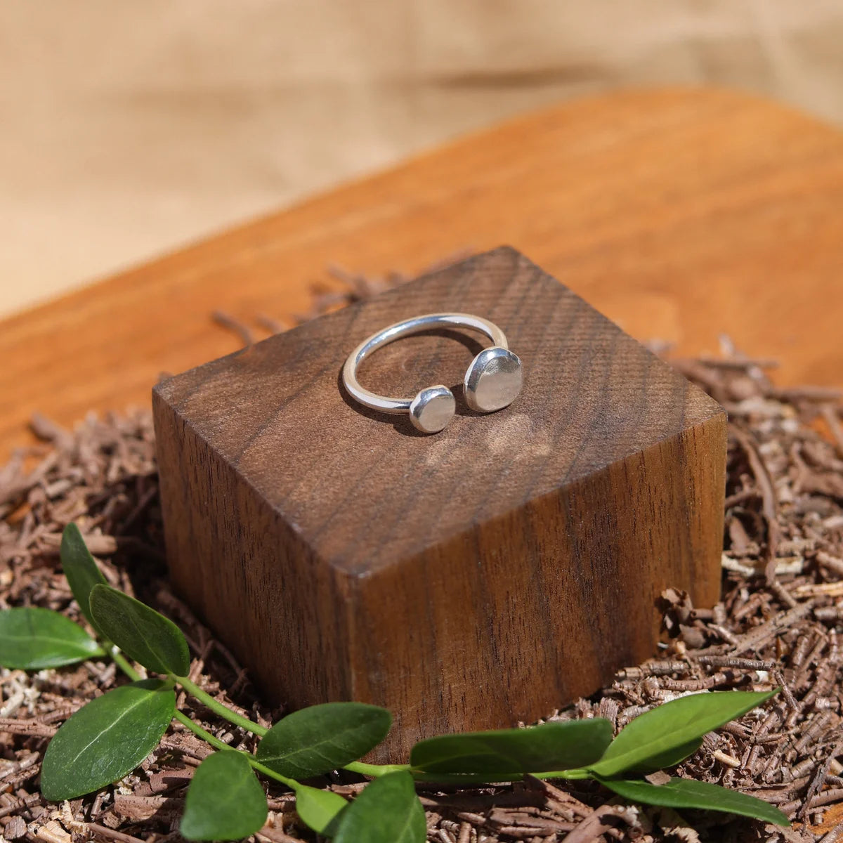 Dual Pebble Ring