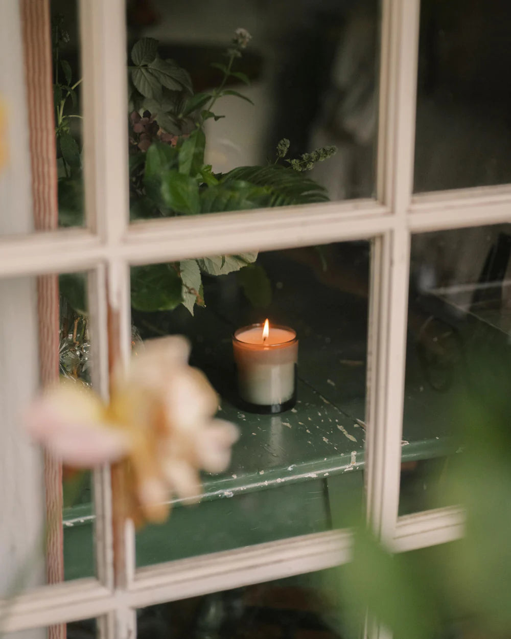 N˚05 Evergreen | Candle