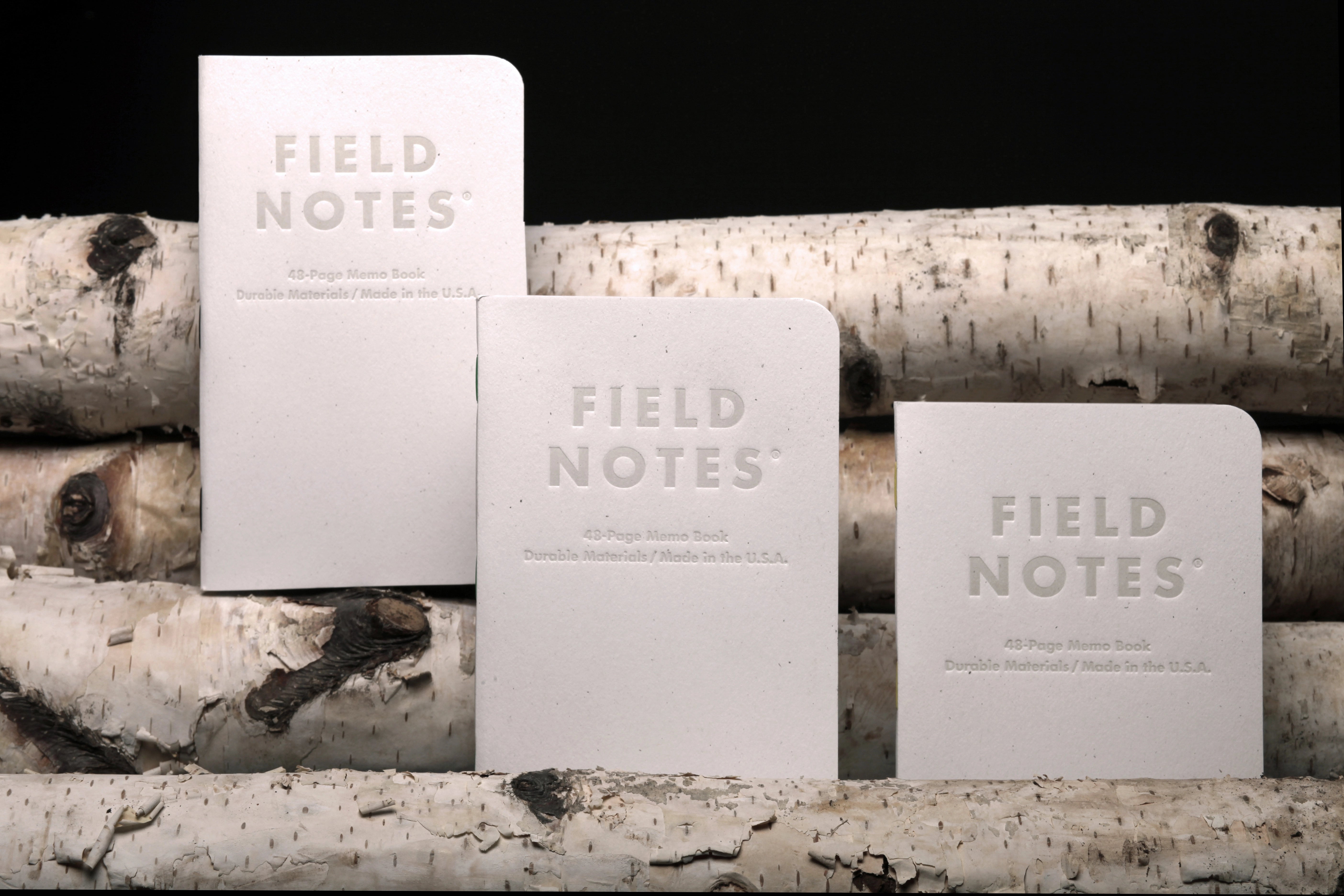 Field Notes | Birch Bark