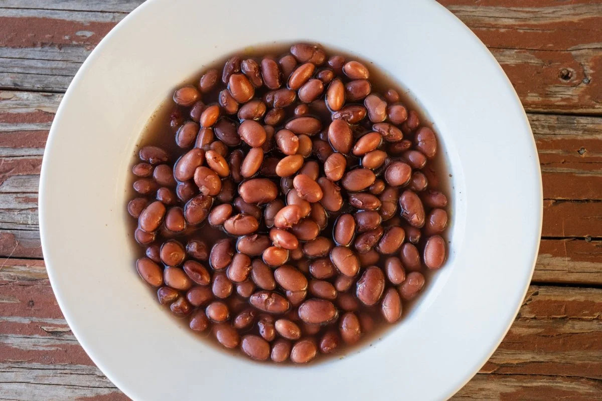 King City Pink Bean