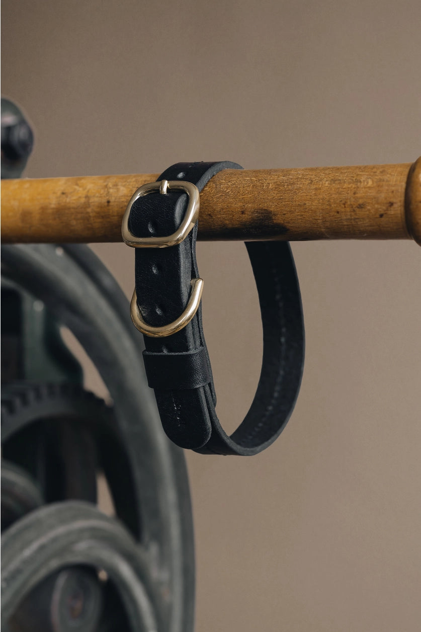 Leather Dog Collar