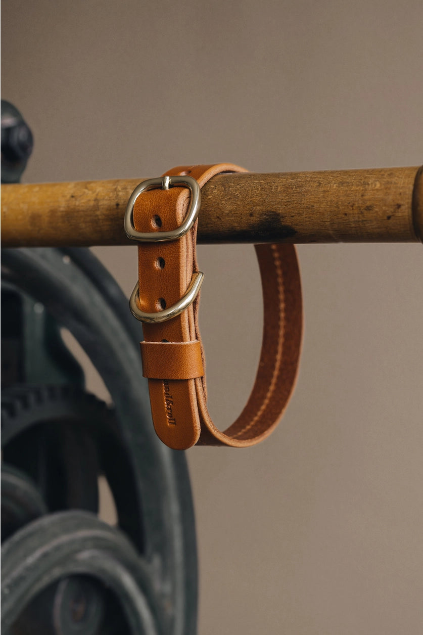 Leather Dog Collar