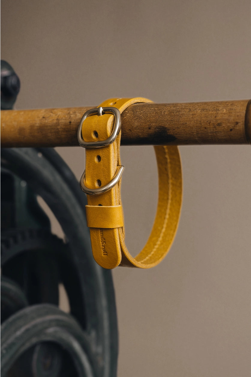 Leather Dog Collar