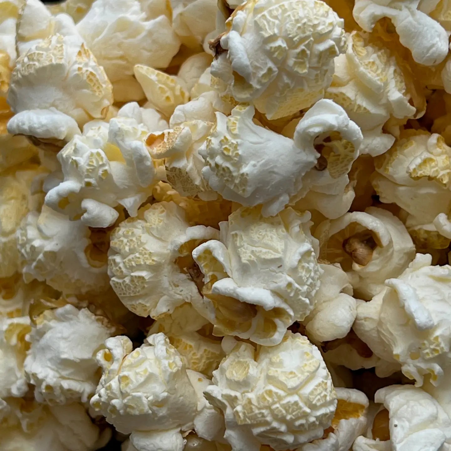 Naked with Sea Salt | Artisan Popcorn