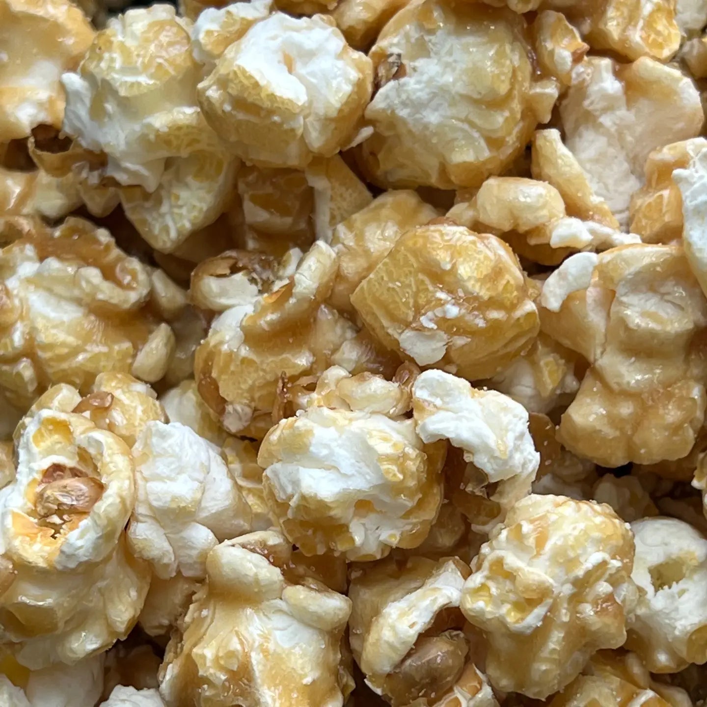 Sea Salt Caramel | Artisan Popcorn