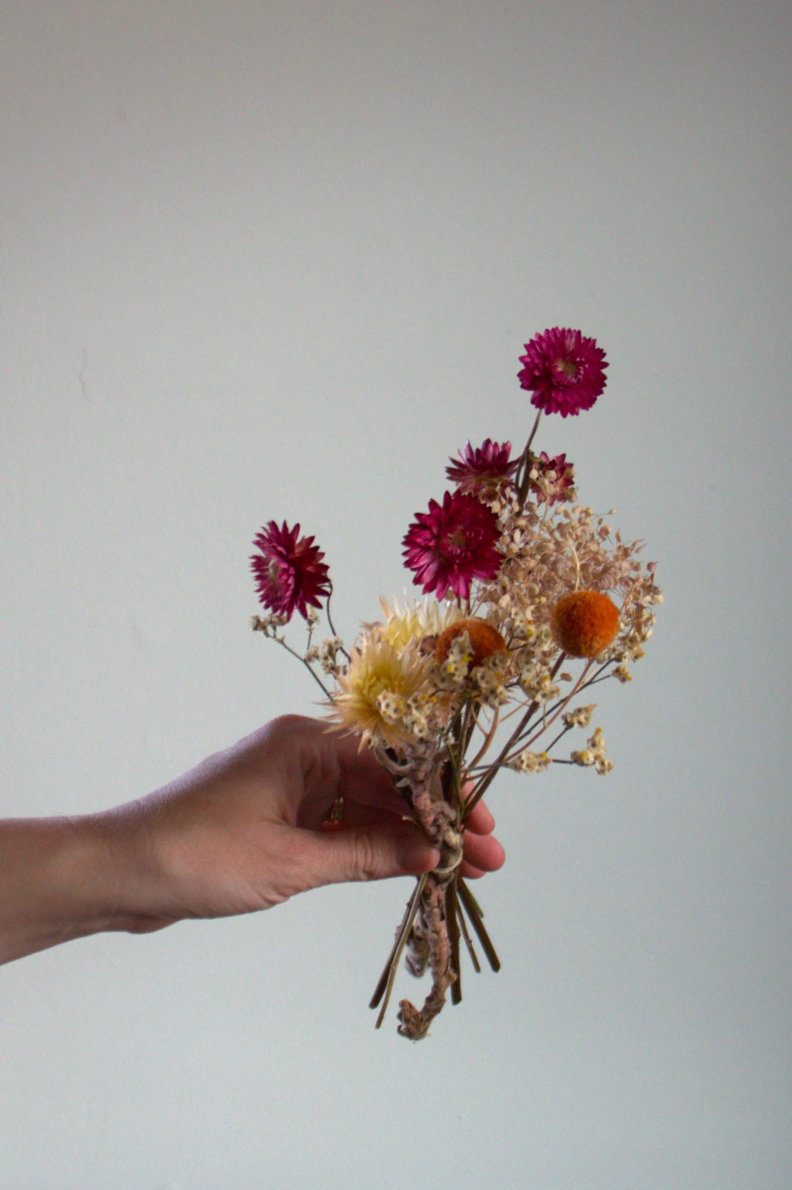 Funky + Wild | Mini Dried Flower Arrangement