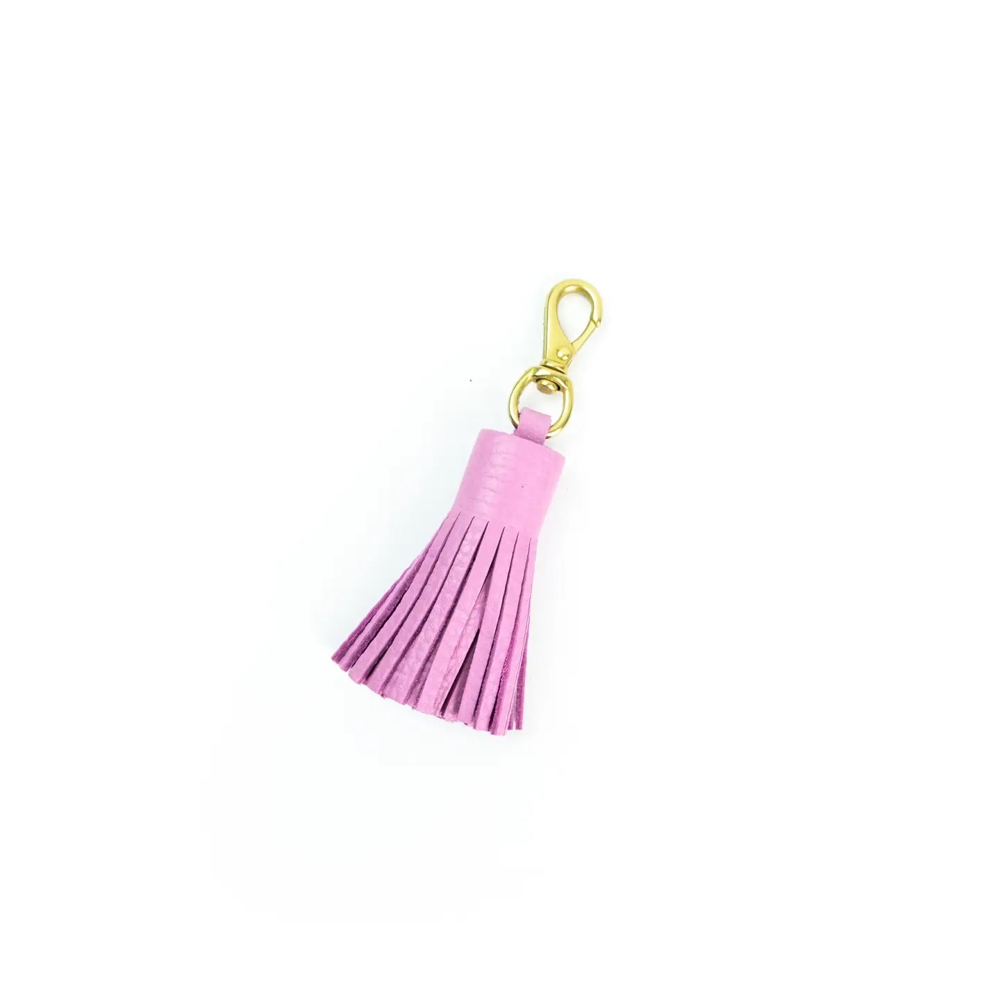 Sorbet Leather Tassel Keychain