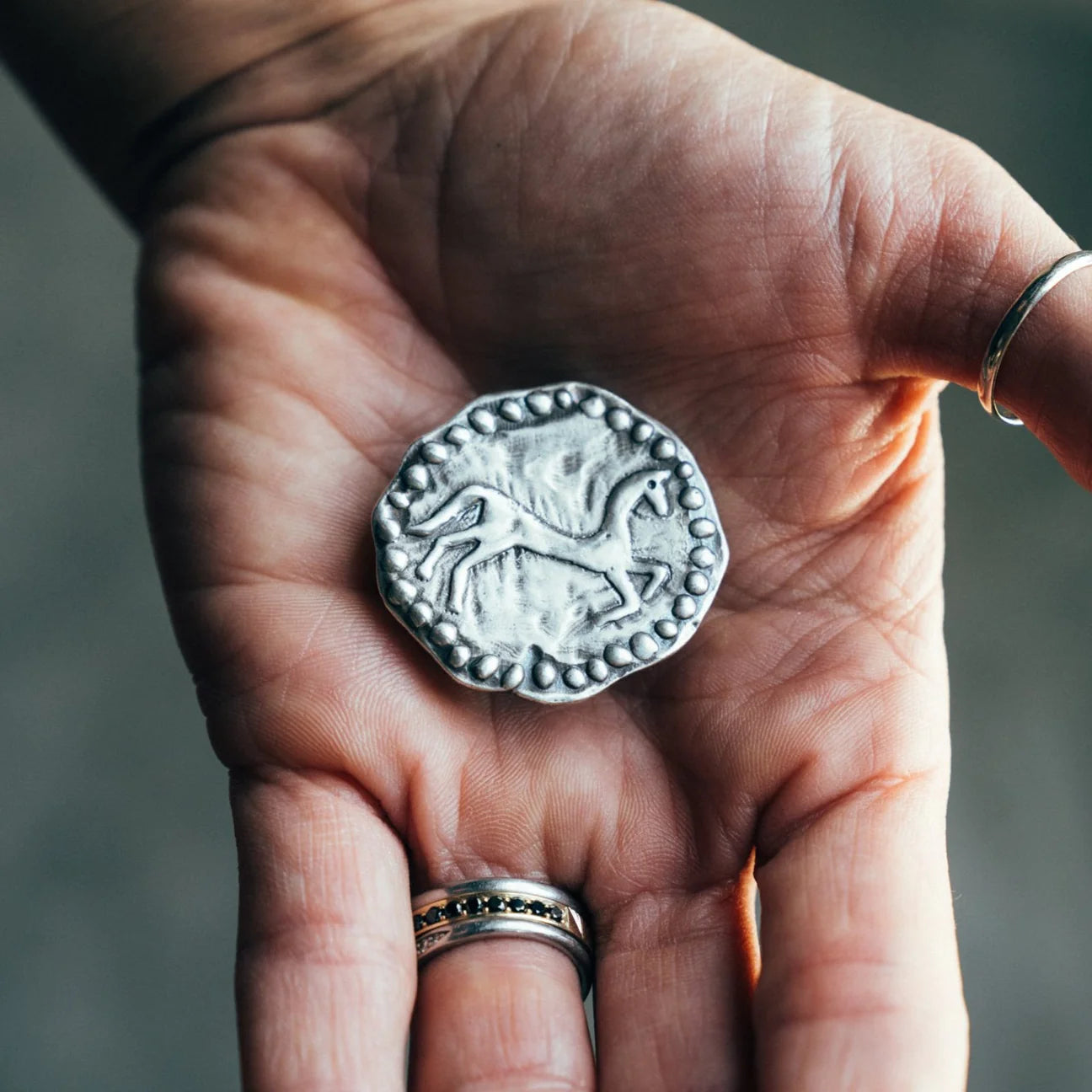 Horse Head Coin Slide