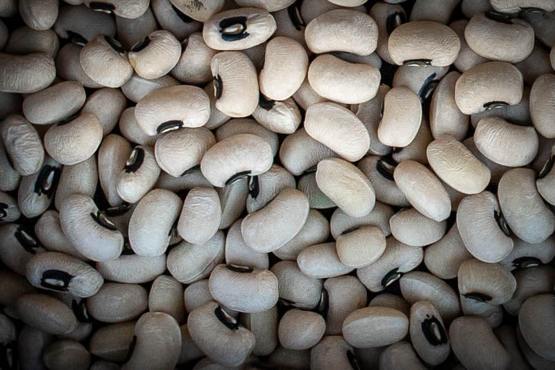Super Lucky 2024 Black Eyed Pea