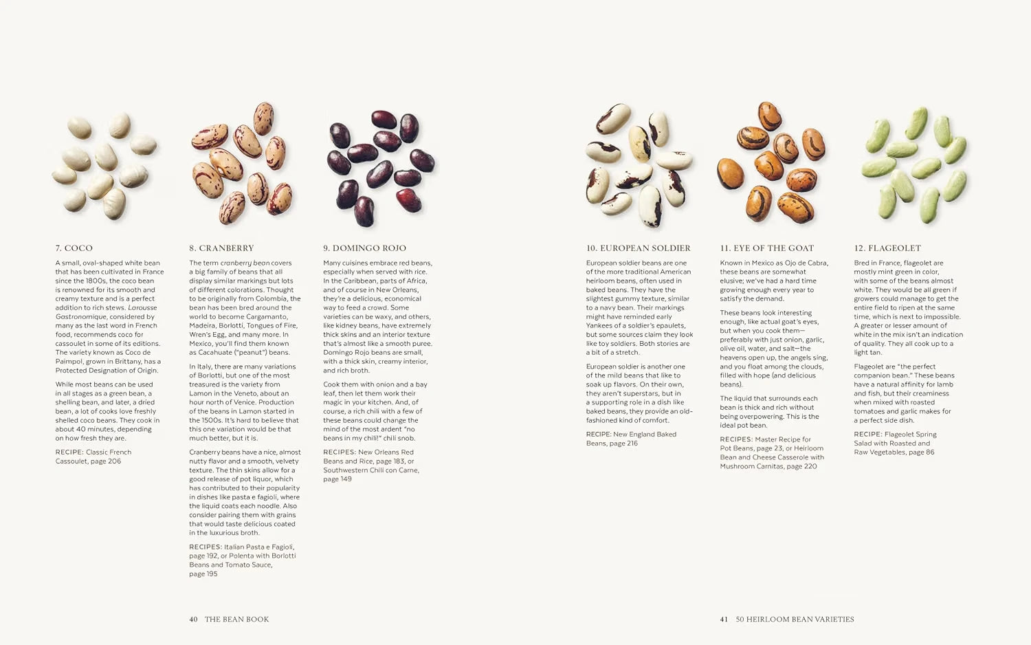 The Bean Book | Cookbook