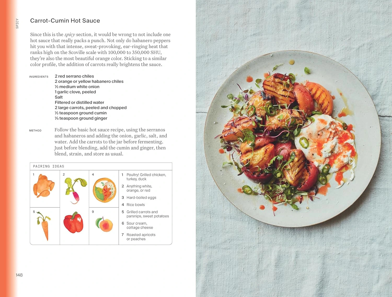 The Condiment Book | Cookbook
