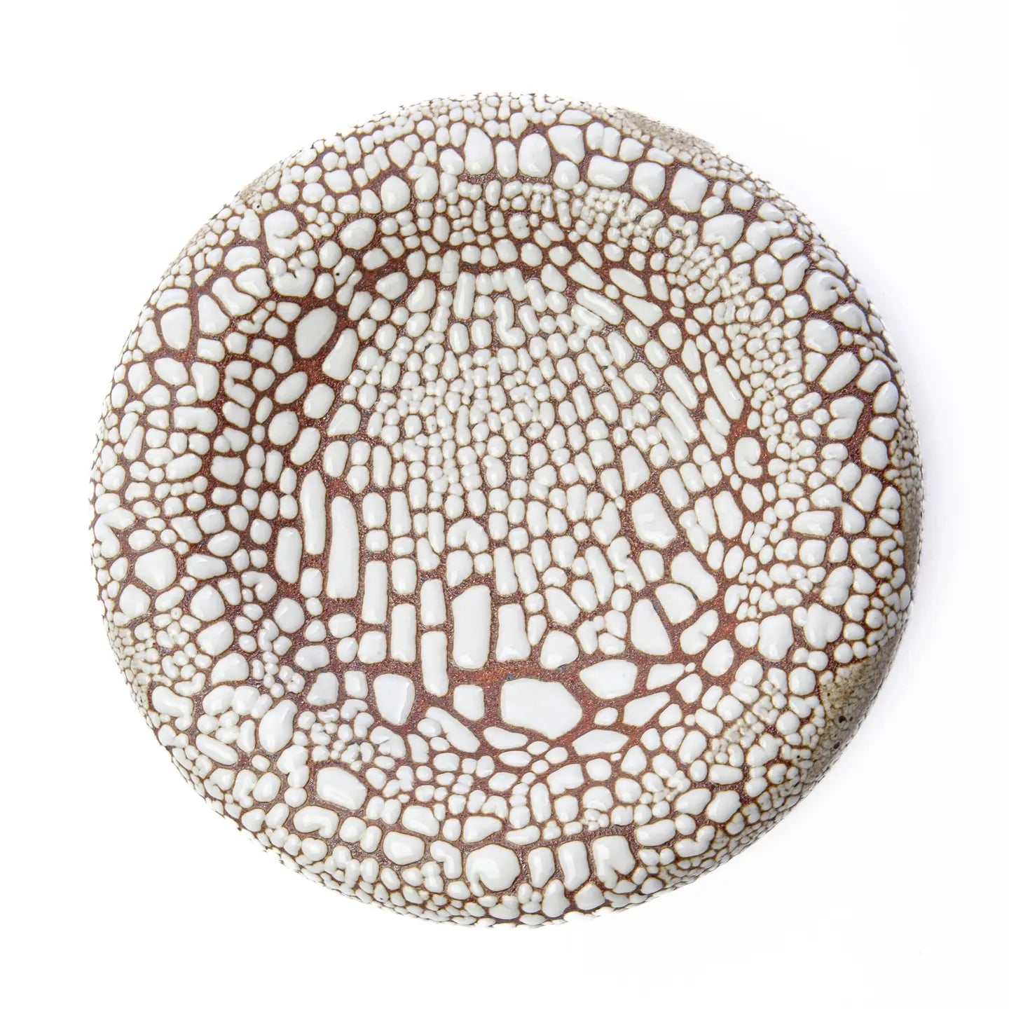 Torus Bowl