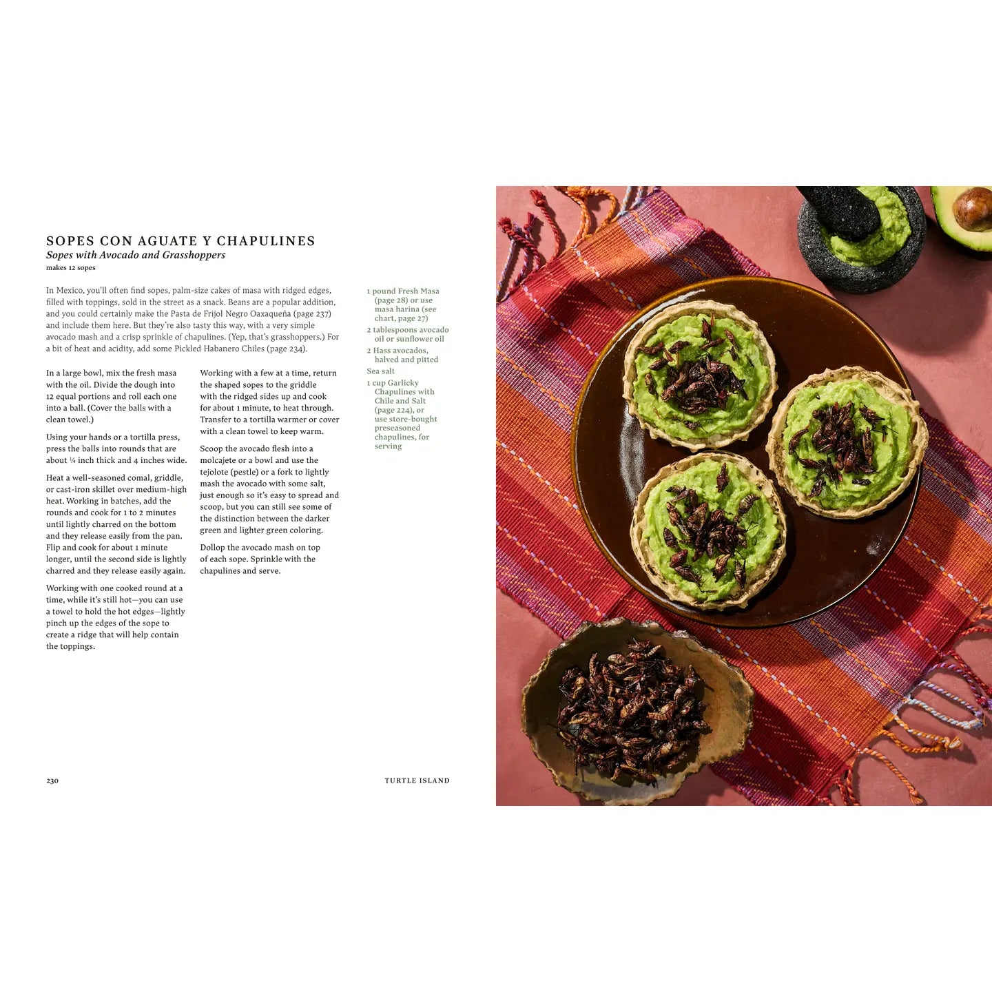 Turtle Island | Cookbook