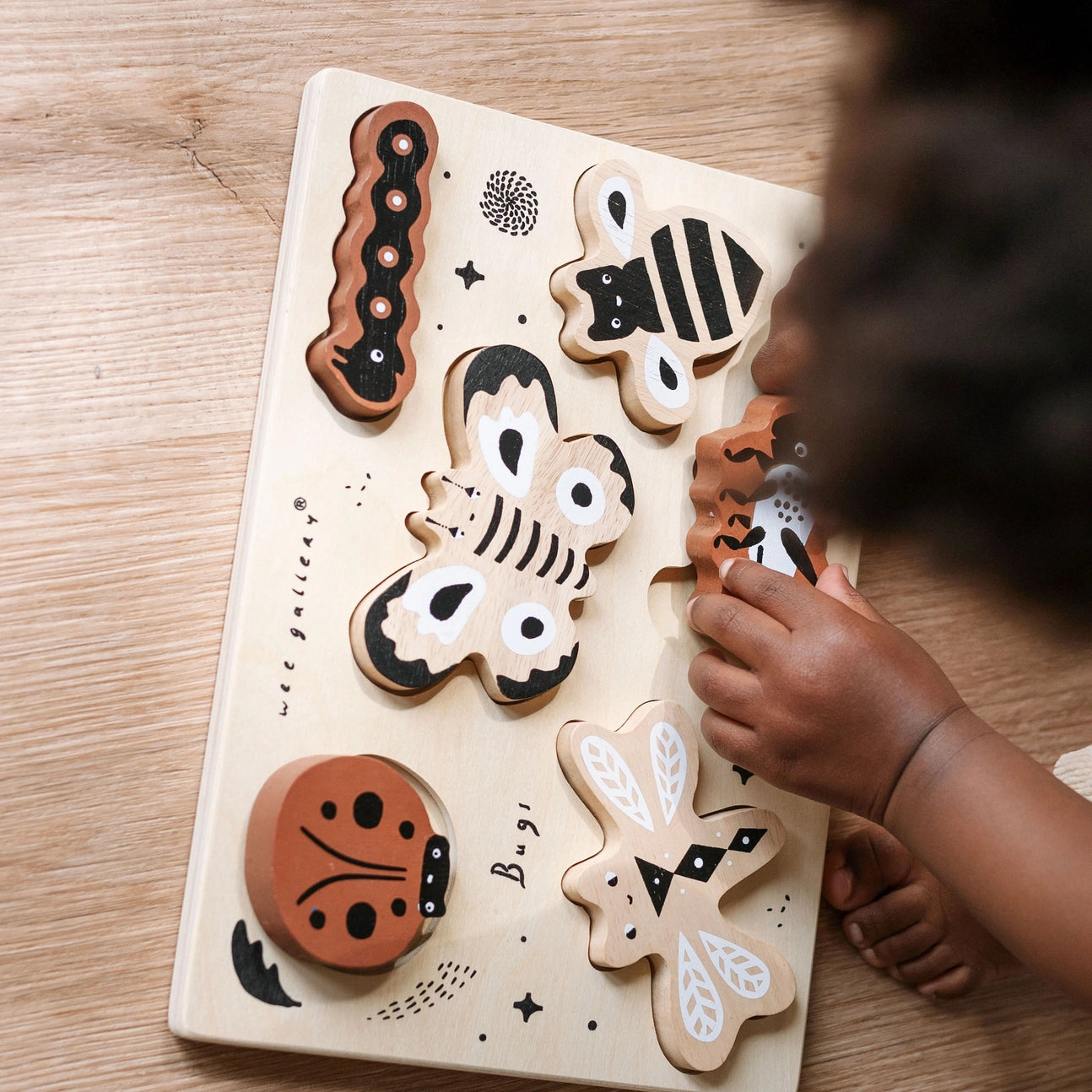 Wooden Tray Puzzle | Bugs