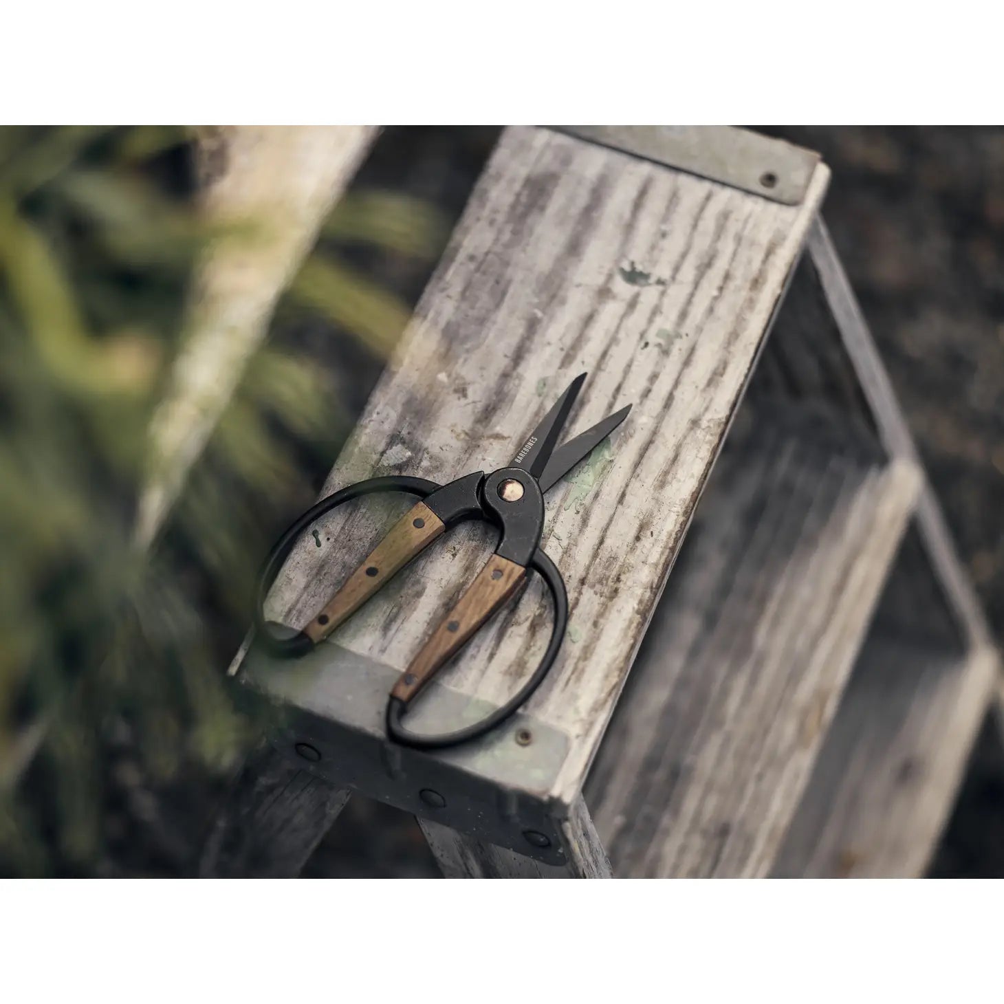 Garden Scissors