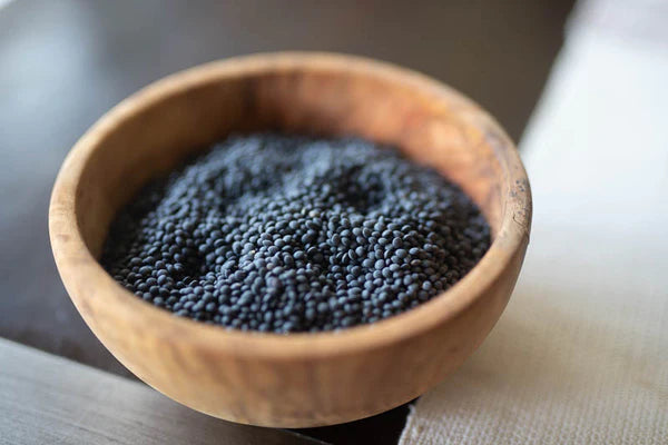 Black Caviar Lentil