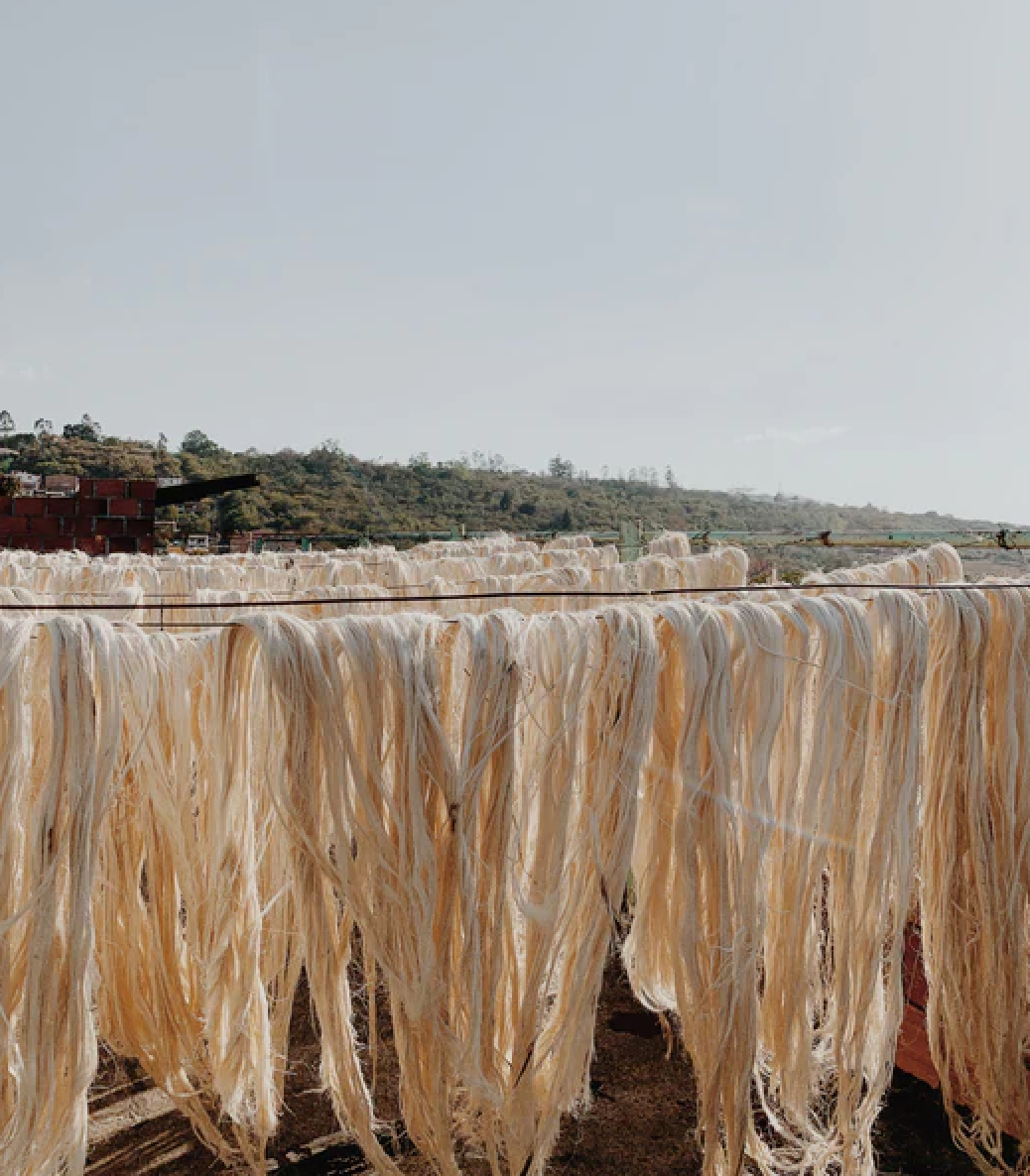 Fique | Woven Placemat