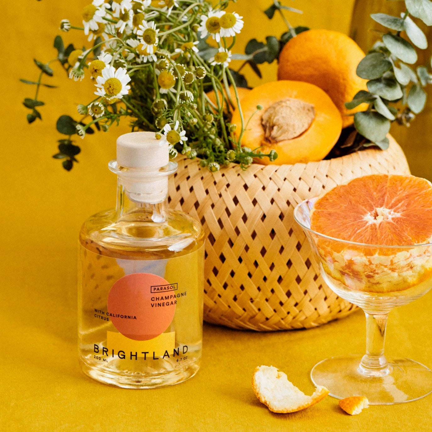 PARASOL | Citrus Champagne Vinegar