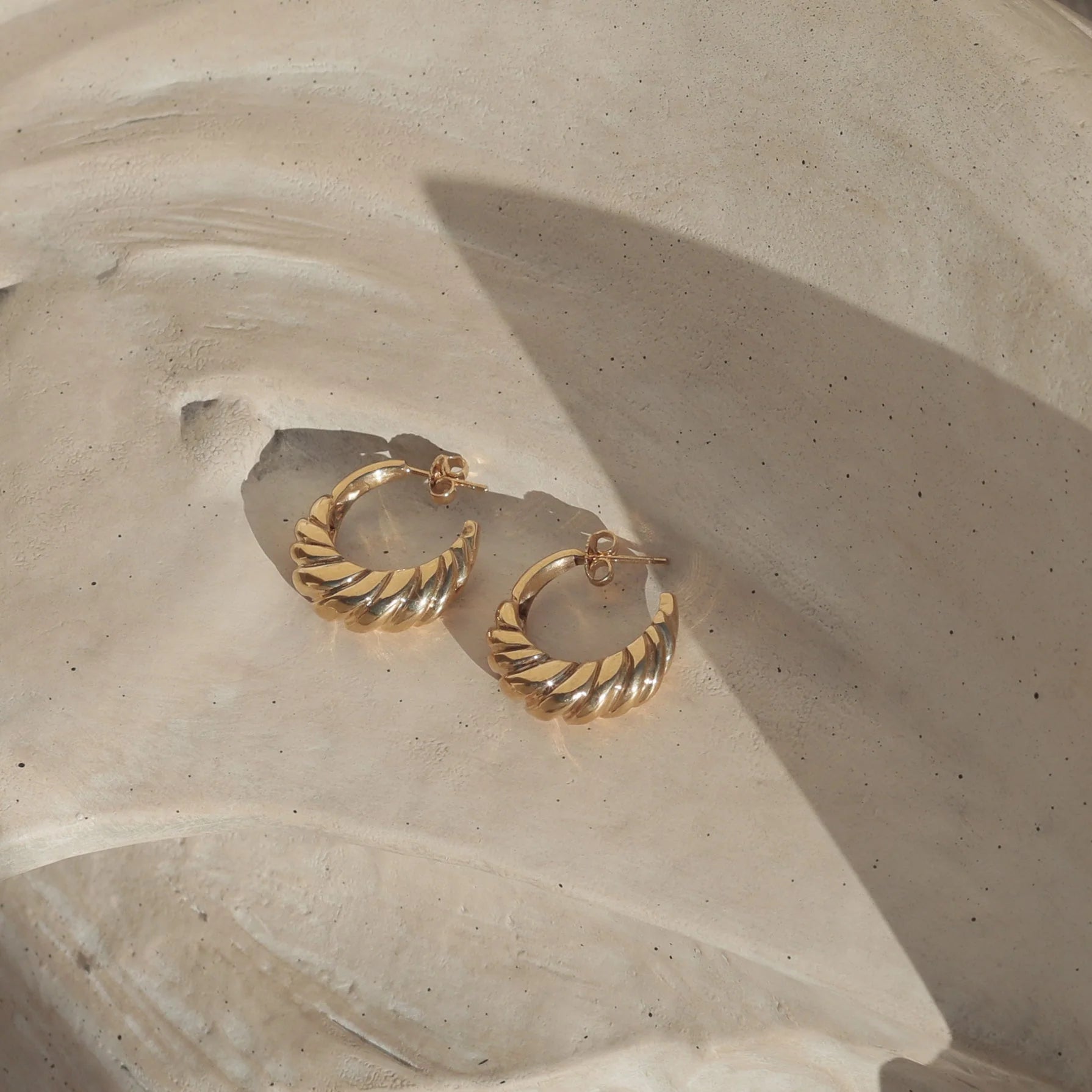 Nautilus Shell Hoop Earrings